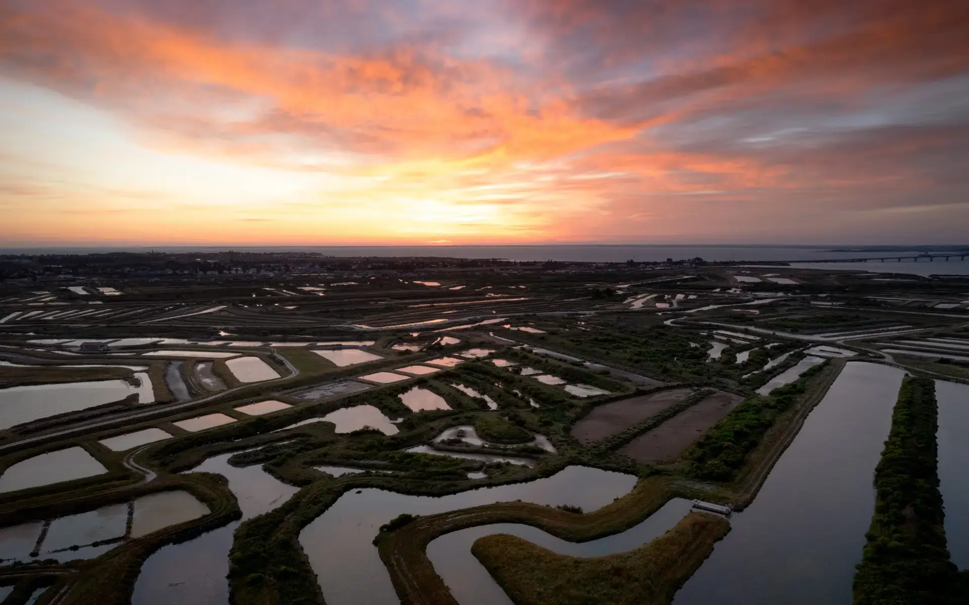 Marais salants de l'île d'Oléron