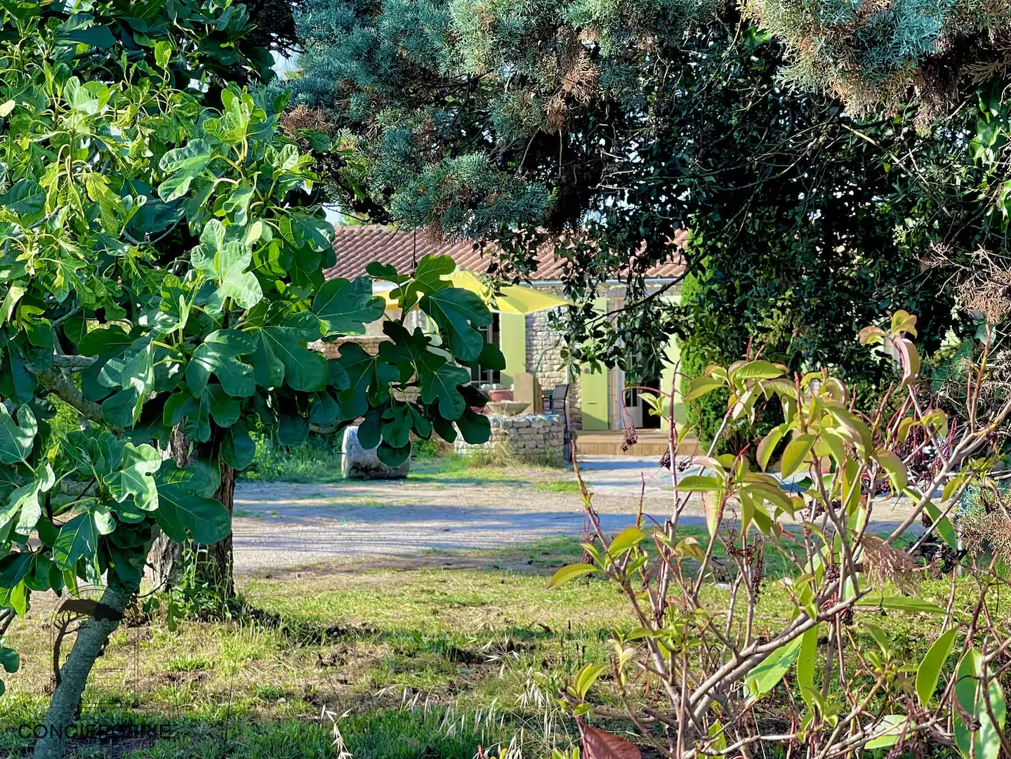 Les Huttes - Magnifique villa proche plage - Photo 43