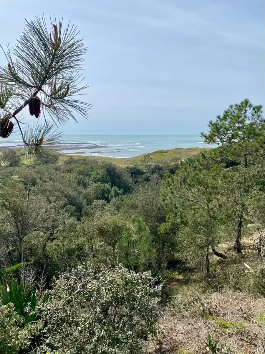 Villa Grain De Sable - Accès direct plage - Photo 12
